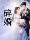 碎婚